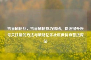 抖音刷粉丝，抖音刷粉技巧揭秘，快速提升账号关注量的方法与策略亿乐社区低价自营货源站