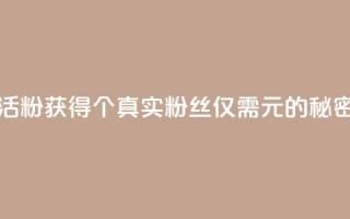 粉丝一元1000个活粉 - 获得1000个真实粉丝仅需1元的秘密揭秘!