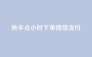 快手点24小时下单微信支付 - 快手推广上热门软件下载