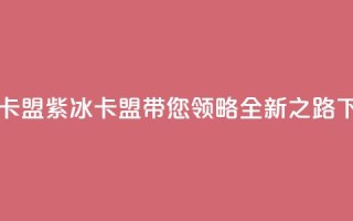 紫冰卡盟 - 紫冰卡盟带您领略全新SEO之路!