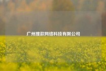 广州搜款网络科技有限公司