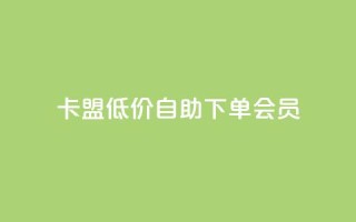 卡盟低价自助下单会员,点赞关注app - qq代点赞 - QQ购买卡盟