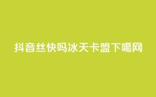 抖音丝快吗 - 冰天卡盟