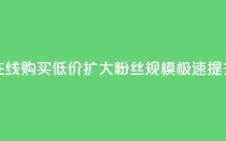 3元一万粉快手在线购买  低价扩大粉丝规模  极速提升影响力