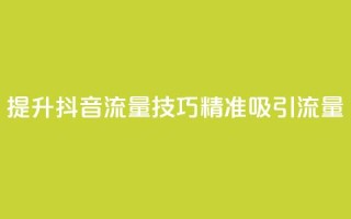 提升抖音流量技巧，精准吸引流量
