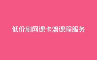 低价刷网课，卡盟课程服务