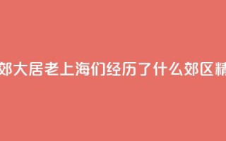 生活在市郊大居，“老上海”们经历了什么？_郊区精细化治理③