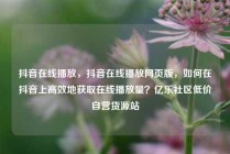 抖音在线播放，抖音在线播放网页版，如何在抖音上高效地获取在线播放量？亿乐社区低价自营货源站