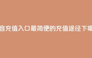 抖音100充值入口：最简便的充值途径