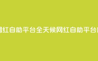 二十四小时网红自助平台 - 全天候网红自助平台新体验!