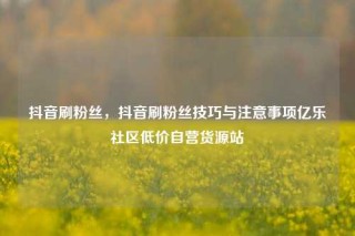 抖音刷粉丝，抖音刷粉丝技巧与注意事项亿乐社区低价自营货源站