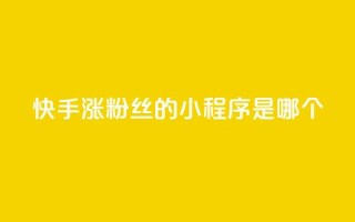 快手涨粉丝的小程序是哪个,彩虹云商城怎么自动补充卡密 - ks一键取赞下载 - 低价购买QQ会员的平台