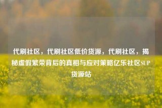 代刷社区，代刷社区低价货源，代刷社区，揭秘虚假繁荣背后的真相与应对策略亿乐社区SUP货源站
