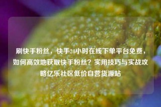 刷快手粉丝，快手24小时在线下单平台免费，如何高效地获取快手粉丝？实用技巧与实战攻略亿乐社区低价自营货源站