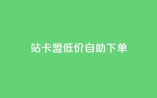 b站卡盟低价自助下单,QQ低价空间点赞 - 卡盟商城 - 抖音巨量千川怎么开通