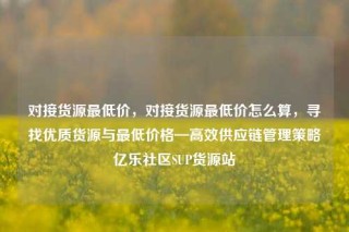 对接货源最低价，对接货源最低价怎么算，寻找优质货源与最低价格—高效供应链管理策略亿乐社区SUP货源站