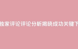 dy评论(独家评论：dy评论分析，揭晓成功关键)