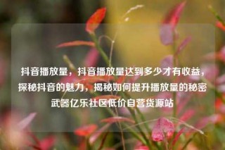 抖音播放量，抖音播放量达到多少才有收益，探秘抖音的魅力，揭秘如何提升播放量的秘密武器亿乐社区低价自营货源站