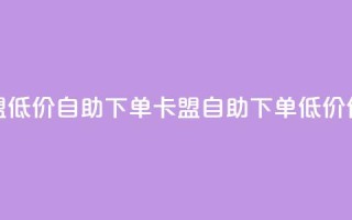 QQ卡盟低价自助下单(QQ卡盟自助下单低价优惠)