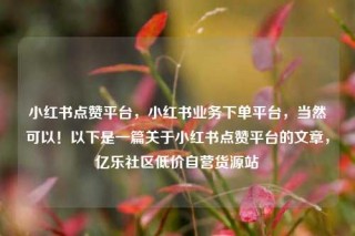 小红书点赞平台，小红书业务下单平台，当然可以！以下是一篇关于小红书点赞平台的文章，亿乐社区低价自营货源站