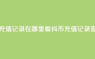 抖音抖币充值记录在哪里看(抖币充值记录查询)