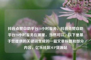 抖音点赞自助平台24小时服务，抖音点赞自助平台24小时服务在哪里，当然可以。以下是基于您提供的关键词生成的一篇文章标题和部分内容，亿乐社区SUP货源站