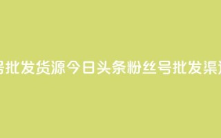 今日头条小号批发货源 - 今日头条粉丝号批发渠道推荐!