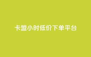 卡盟24小时低价下单平台 - qq领赞宝网站