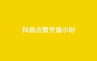 抖音点赞充值24小时 - 抖音点赞充值服务：24小时快速提升视频点赞数~
