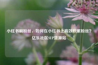 小红书刷粉丝，如何在小红书上高效积累粉丝？亿乐社区SUP货源站