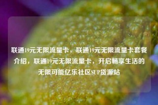 联通19元无限流量卡，联通19元无限流量卡套餐介绍，联通19元无限流量卡，开启畅享生活的无限可能亿乐社区SUP货源站