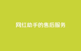 网红助手的售后服务,qq空间访问10人怎么弄 - 全网24小时自助下单网站在线 - qq空间免费点赞赞