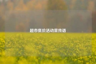 超市低价活动宣传语