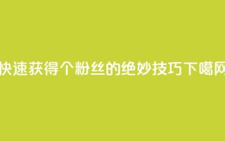 快速获得1000个粉丝的绝妙技巧