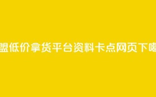 卡盟低价拿货平台 - QQ资料卡点网页