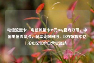 电信流量卡，电信流量卡19元200g官方办理，中国电信流量卡，畅享无限网络，尽在掌握中亿乐社区低价自营货源站