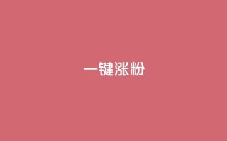 KS一键涨粉,ks业务自助下单软件最低价 - qq赞自助下单平台 - QQ访客10000多吗