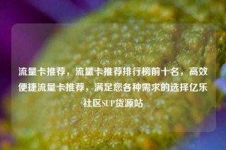 流量卡推荐，流量卡推荐排行榜前十名，高效便捷流量卡推荐，满足您各种需求的选择亿乐社区SUP货源站