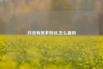 抖音有很多粉丝,怎么盈利