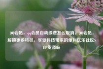 QQ会员，qq会员自动续费怎么取消，QQ会员，解锁更多特权，享受科技带来的便利亿乐社区SUP货源站