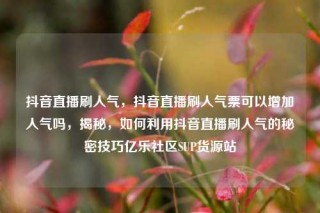 抖音直播刷人气，抖音直播刷人气票可以增加人气吗，揭秘，如何利用抖音直播刷人气的秘密技巧亿乐社区SUP货源站