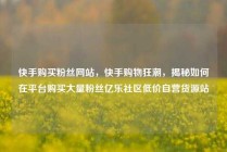 快手购买粉丝网站，快手购物狂潮，揭秘如何在平台购买大量粉丝亿乐社区低价自营货源站