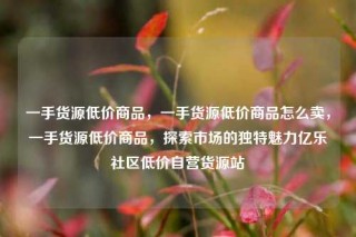 一手货源低价商品，一手货源低价商品怎么卖，一手货源低价商品，探索市场的独特魅力亿乐社区低价自营货源站