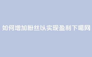 如何增加粉丝以实现盈利？