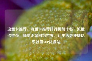 流量卡推荐，流量卡推荐排行榜前十名，流量卡推荐，畅享无垠网络世界，让生活更便捷亿乐社区SUP货源站