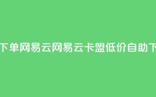 卡盟低价自助下单网易云 - 网易云卡盟低价自助下单服务!