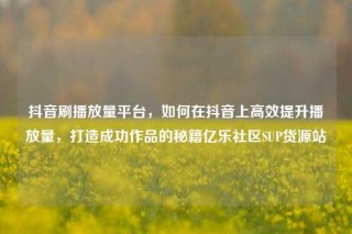 抖音刷播放量平台，如何在抖音上高效提升播放量，打造成功作品的秘籍亿乐社区SUP货源站
