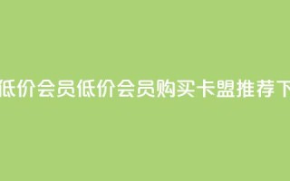 卡盟低价会员(低价会员购买-卡盟推荐)