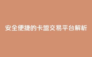 安全便捷的卡盟交易平台解析