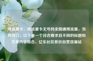 纯流量卡，纯流量卡无号码全国通用流量，当然可以。以下是一个符合要求且不同的标题和文章内容组合，亿乐社区低价自营货源站